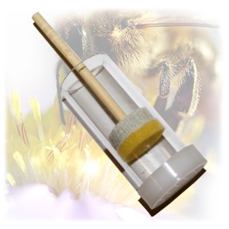 Markierungs und Fangkolben zum Markieren von Bienenköniginnen